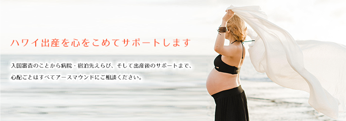 メインイメージの説明